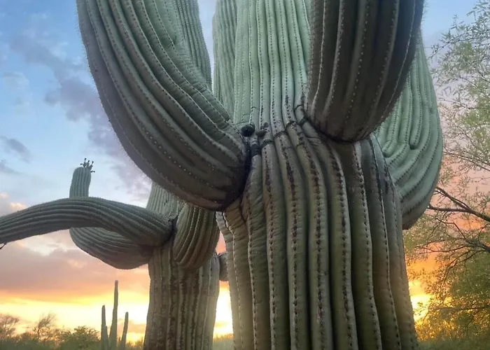 Saguaro Grove, Built '26, Smart Lock, Quiet Cul-de-sac * Tucson